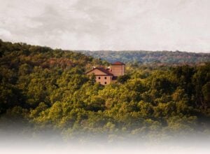 In the Vineyard of Silence — By: OnePeterFive