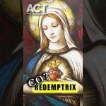 Will the Vatican name the Blessed Virgin Mary as Co Redemptrix? —A Podcast by: Catholic Take