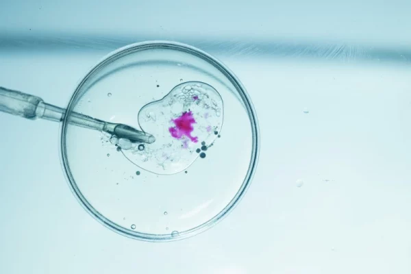 Catholic bishops criticize Trump’s IVF expansion: Every life is ‘sacred and loved by God’ — By: Catholic News Agency